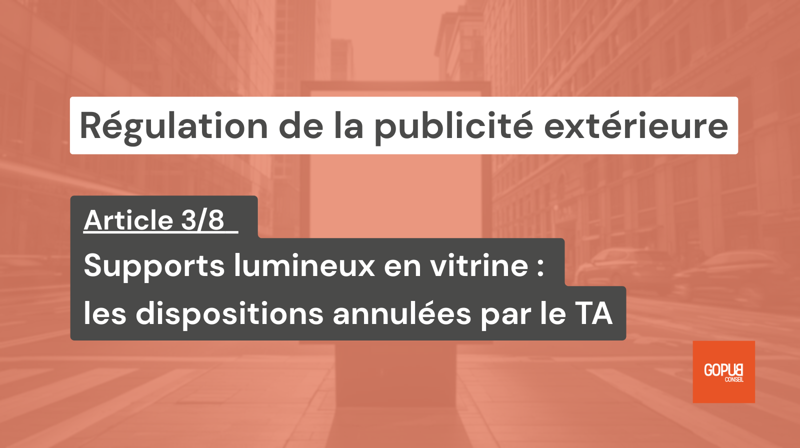 Article 3/8 — Supports lumineux en vitrine : les dispositions annulées par le TA